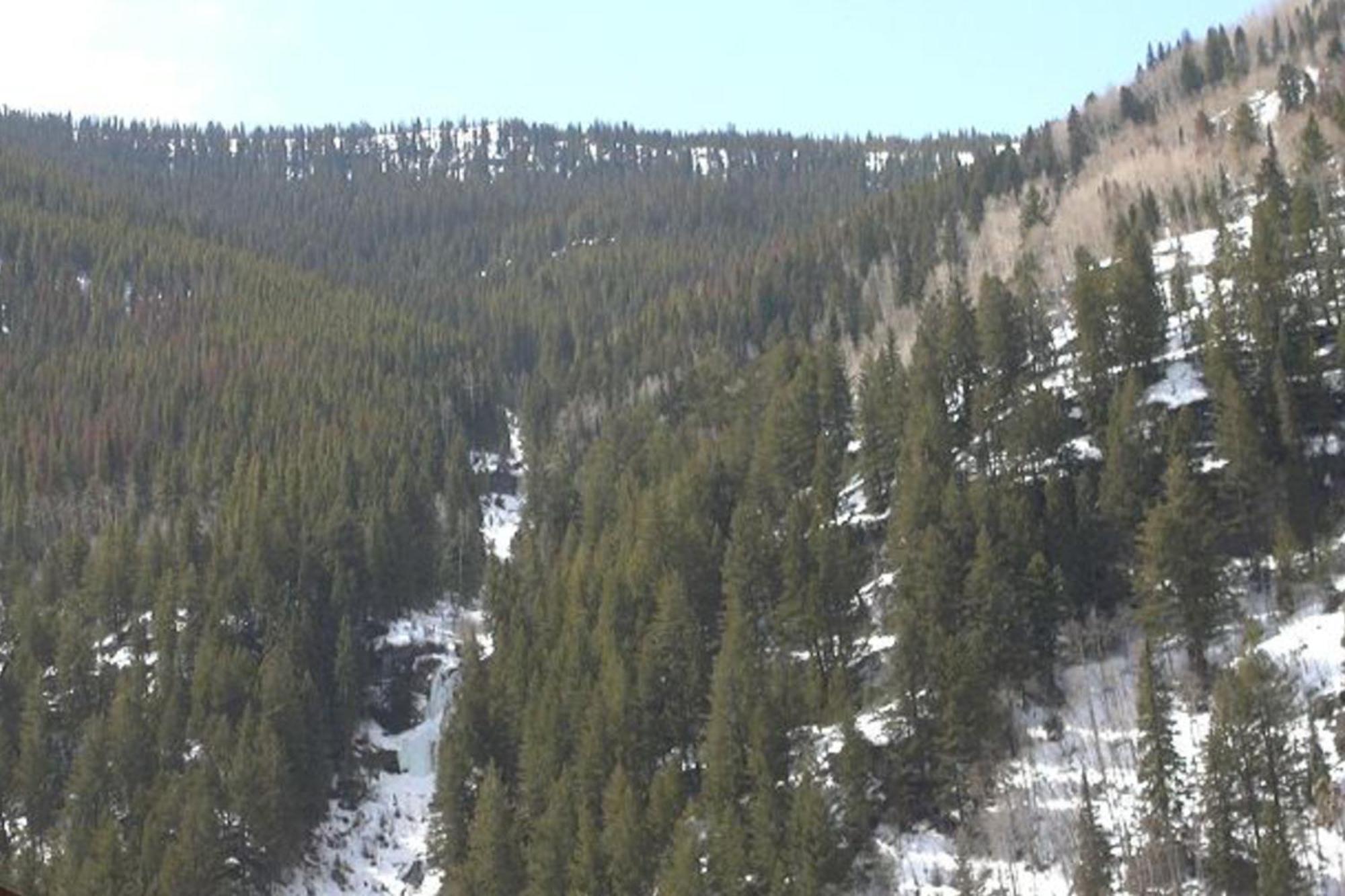 Villa Pitkin Creek Park 7 Vail Zimmer foto